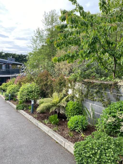 Beautiful Garden Apartment With Private Patio And Garden View 더블린 외부 사진