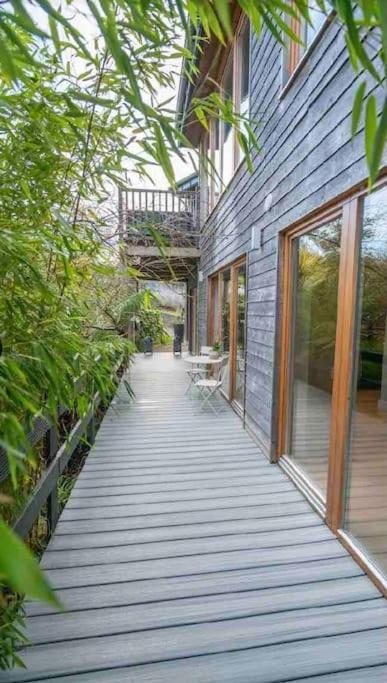 Beautiful Garden Apartment With Private Patio And Garden View 더블린 외부 사진
